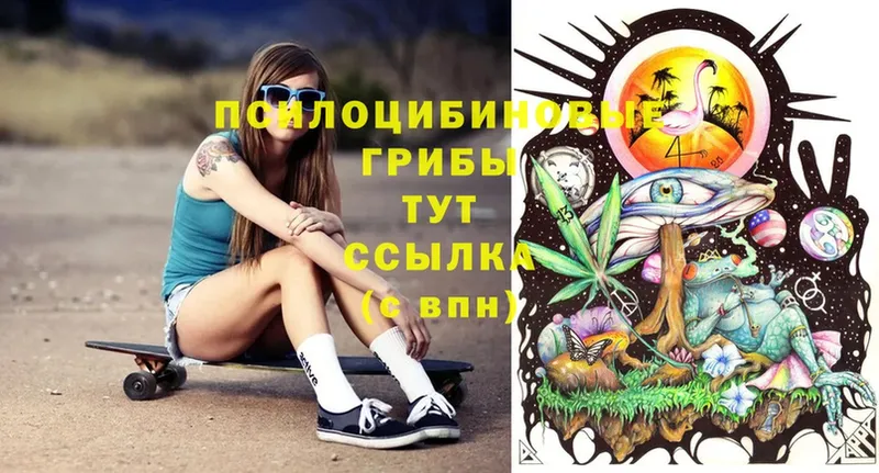 Псилоцибиновые грибы Magic Shrooms  Белорецк 